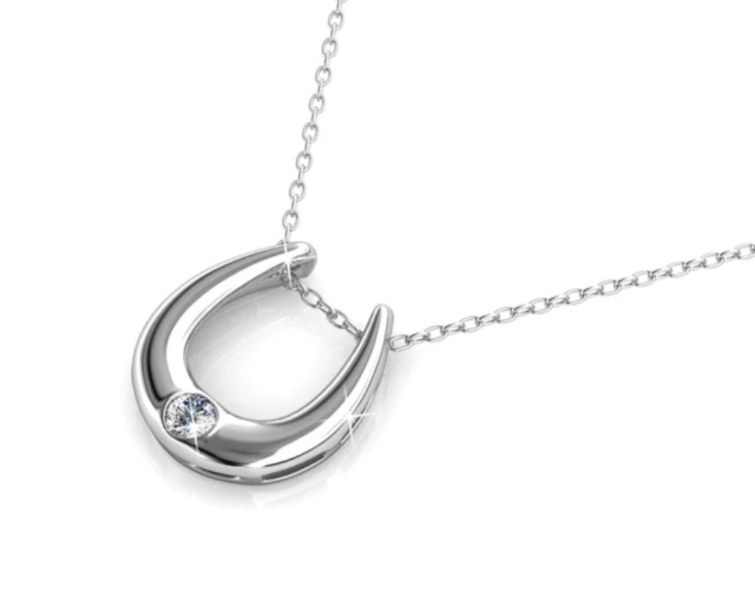 Horseshoe Single Crystal Pendant